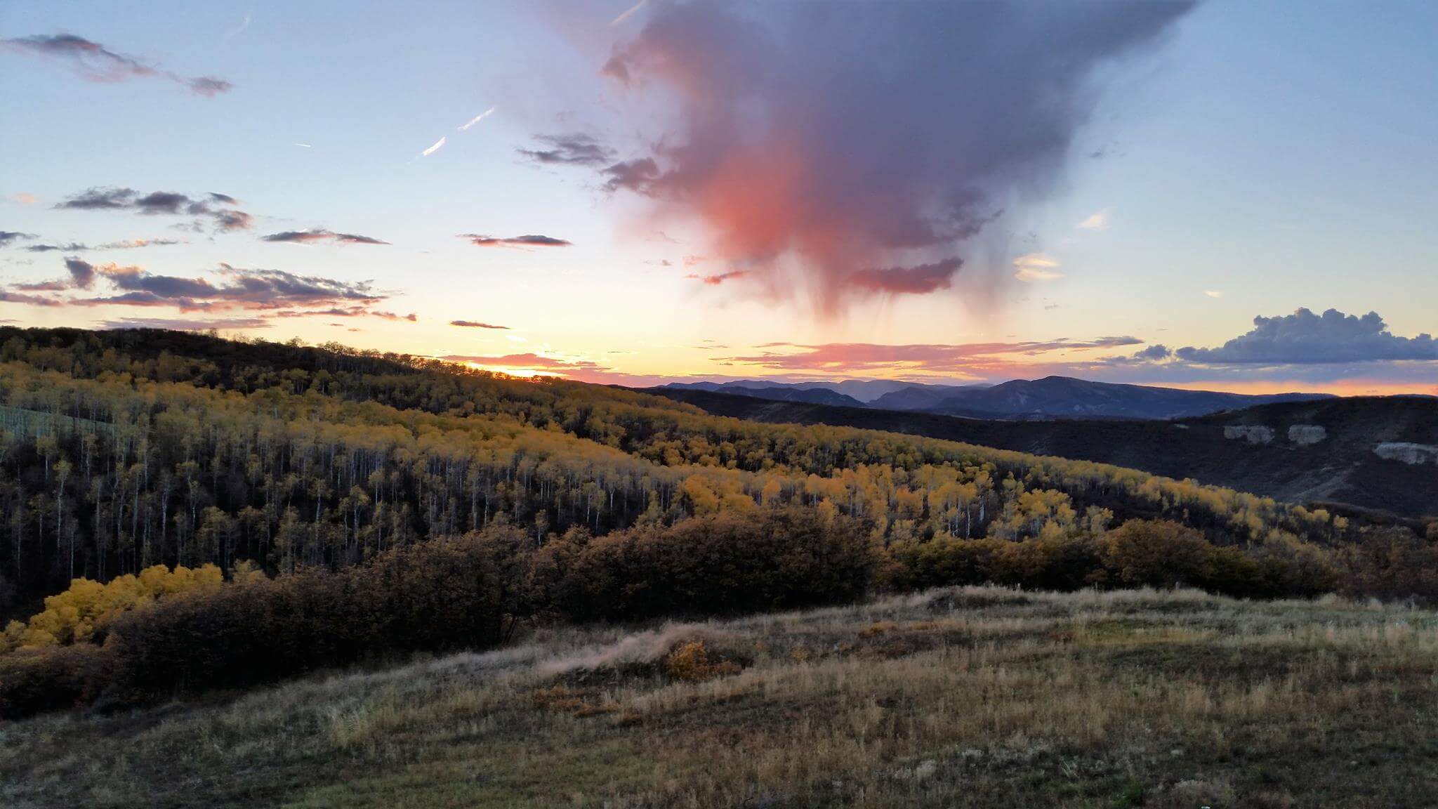 PRO TIPS Best time of year to paint interior and exterior