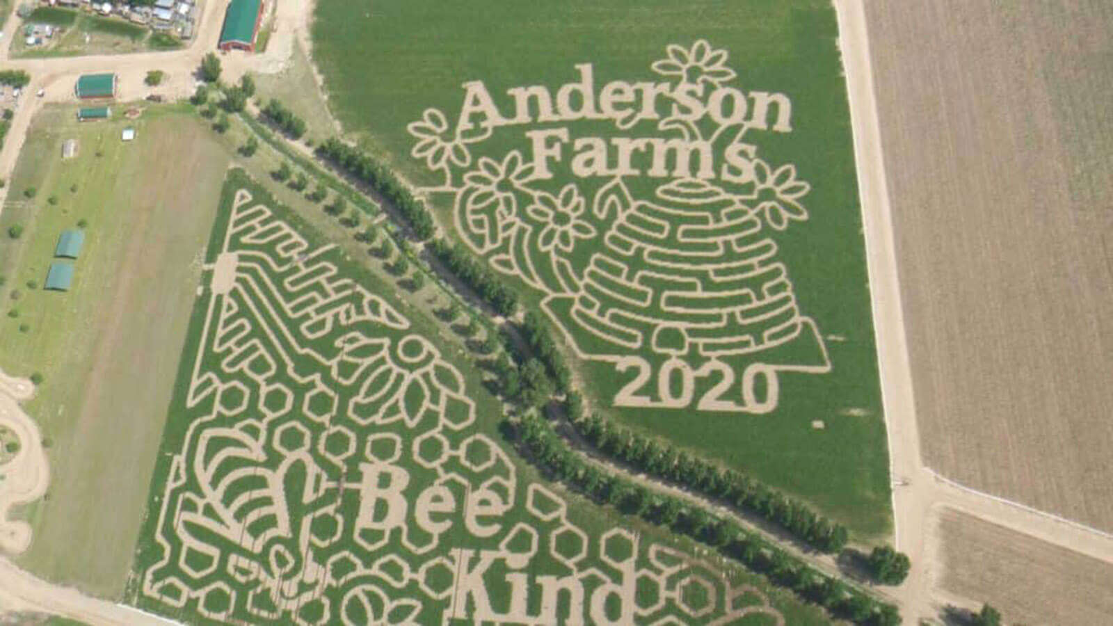 Anderson Farms